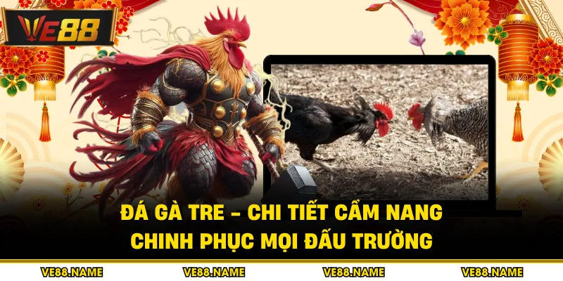 Đá Gà Tre - Chi Tiết Cẩm Nang Chinh Phục Mọi Đấu Trường