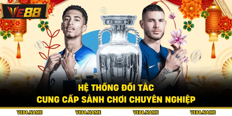 Hệ thống đối tác cung cấp sảnh chơi chuyên nghiệp